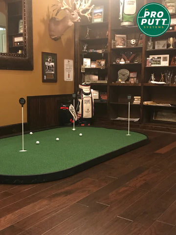 Image of Pro Putt Systems: Money Putt Model