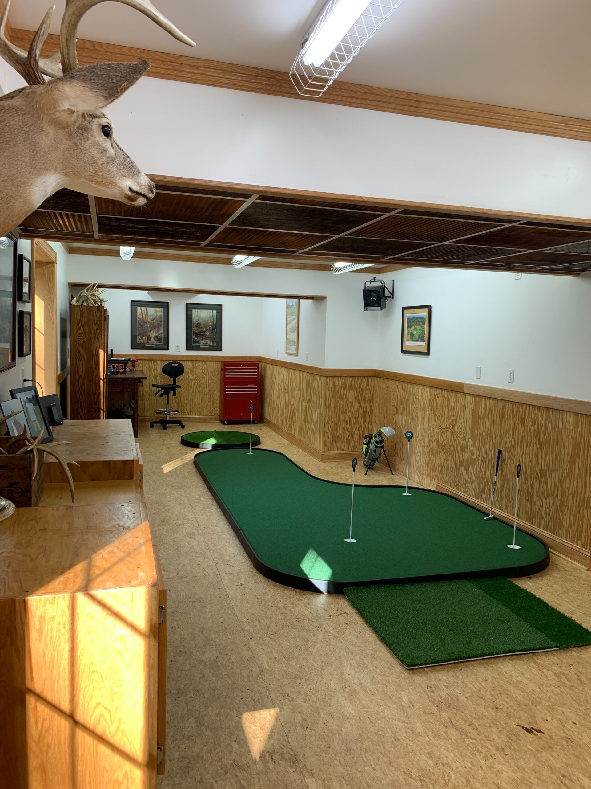 Pro Putt Systems: Executive Tour Pro Model