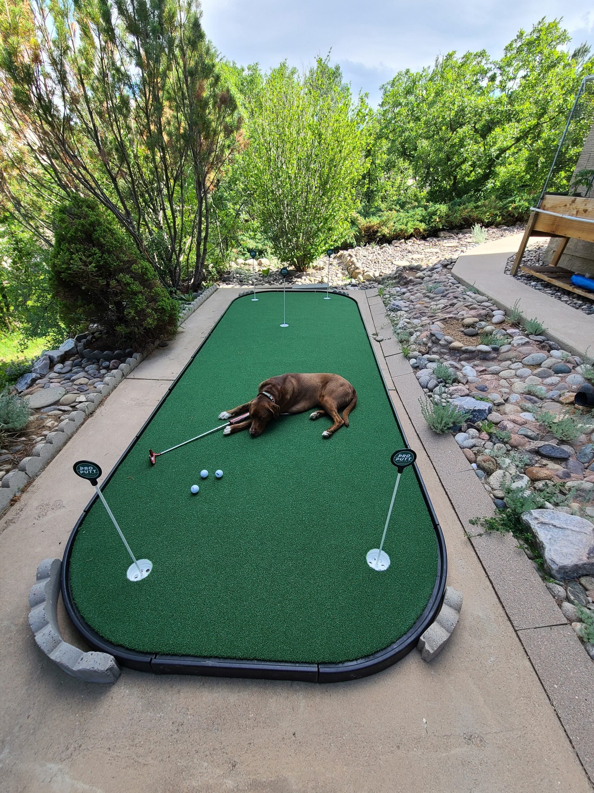 Pro Putt Systems: Personal Putt and Chip Complex