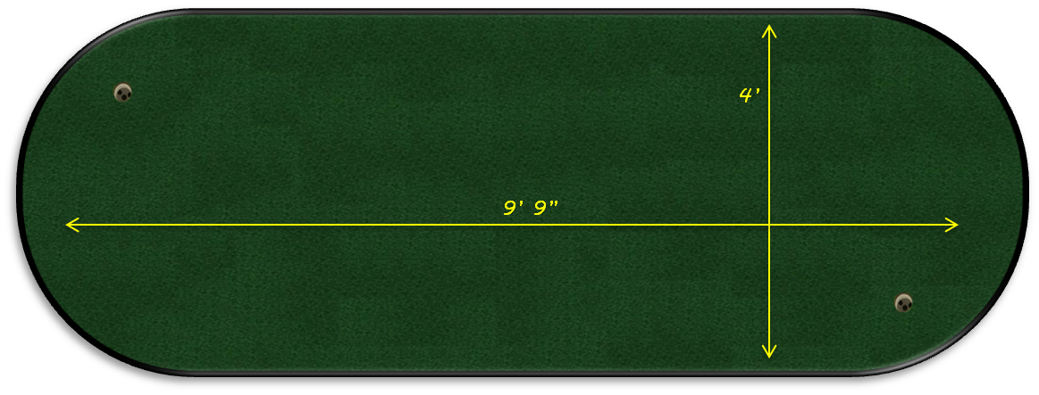 Pro Putt Systems Club Champion Model